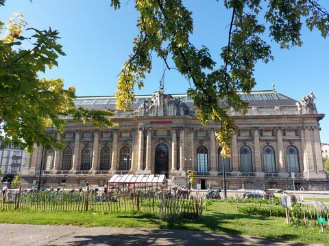 musée de Genève.html